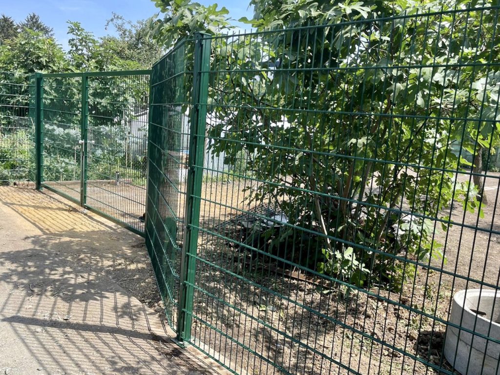 Frankfurt Gartenzugang Doppelstabmattenzaun grün