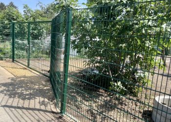 Frankfurt Gartenzugang Doppelstabmattenzaun grün